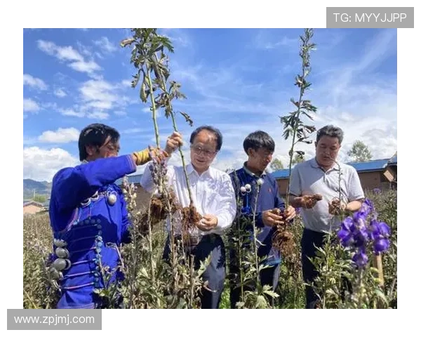 以八零后企业家为核心探寻新时代创新创业精神与成长轨迹 以八零后企业家为核心探寻新时代创新创业精神与成长轨迹